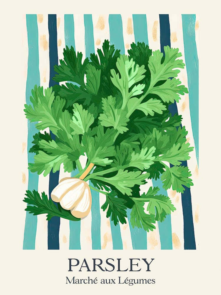 Marche Aux Legumes Parsley Summer Illustration 5