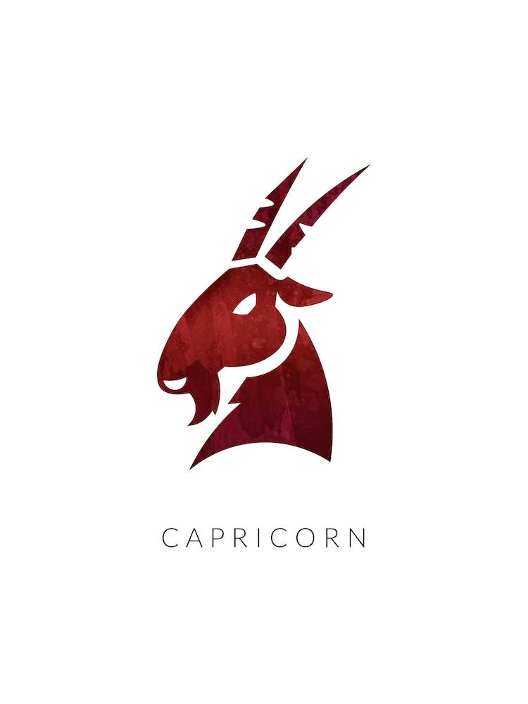 Capricorn Zodiac