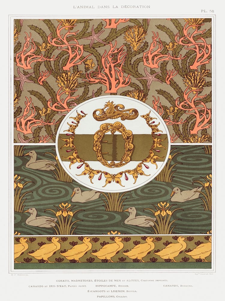 Corals, Madrepores, Starfish And Algae, Maurice Pillard Verneuil