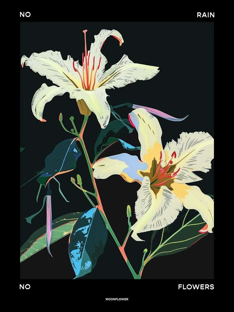 No Rain No Flowers Poster Moonflower 3
