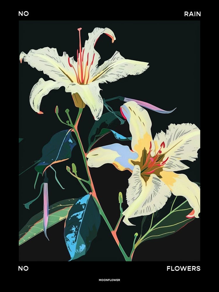 No Rain No Flowers Poster Moonflower 3