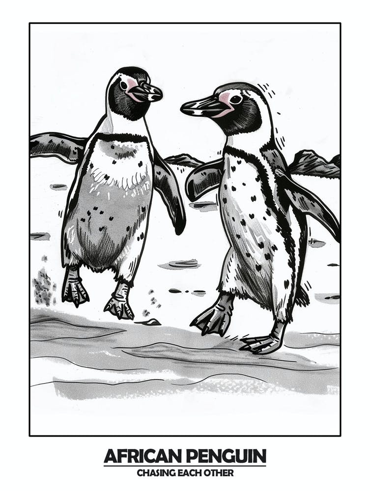 Penguins Chasing Eachother 3