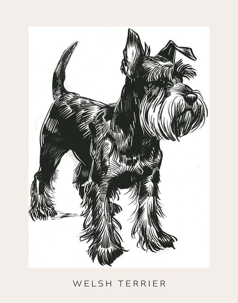 Welsh Terrier Dog Line Sketch 1 Poster