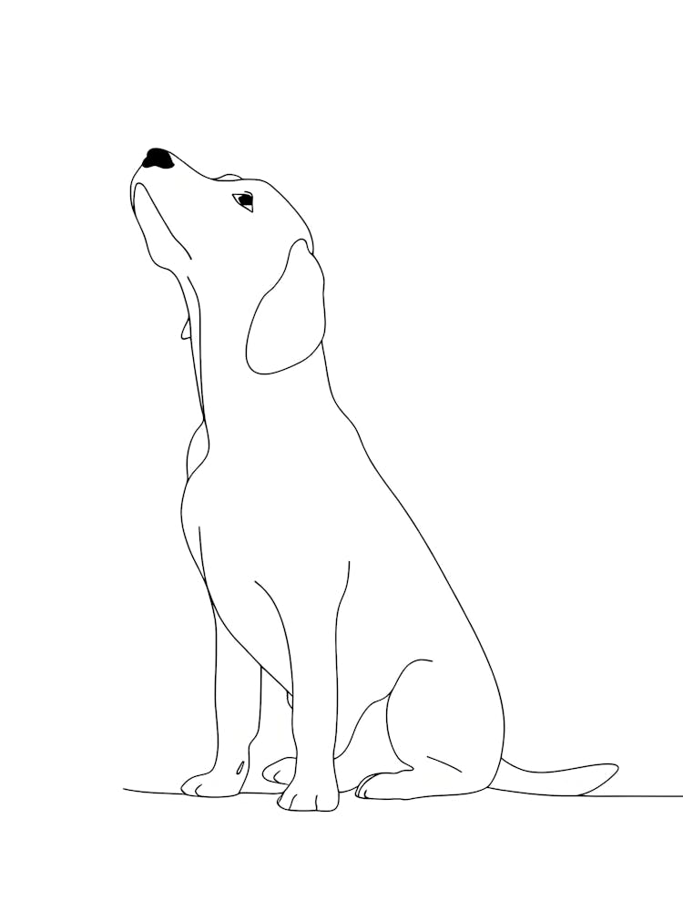 Dog Drawing 1