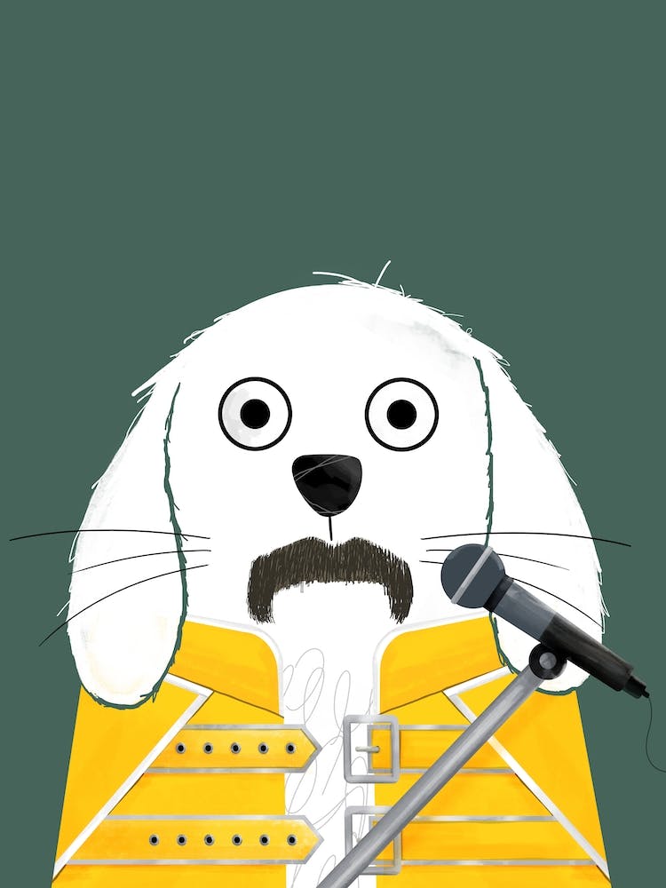 Dog Freddie
