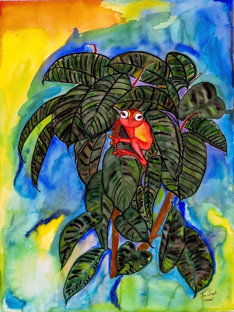 Tree Frog
