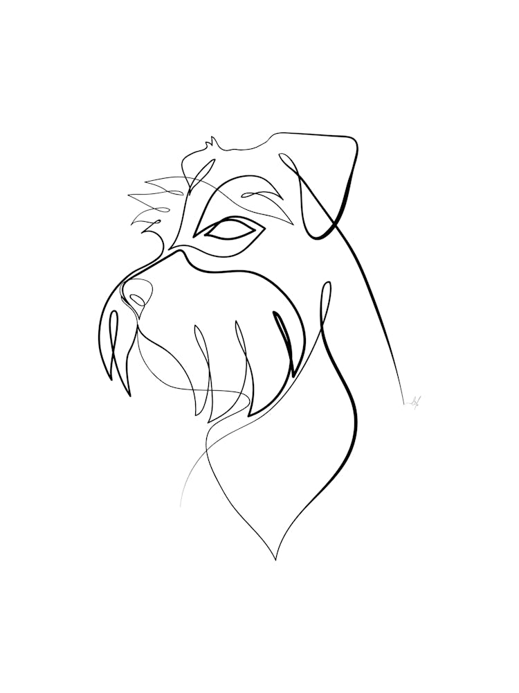 Schnauzer