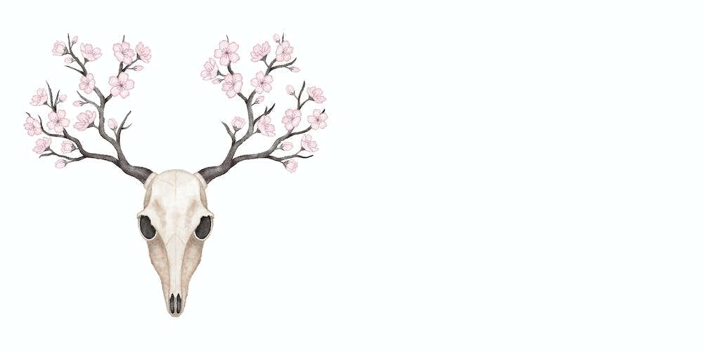 Blooming Deer Skull
