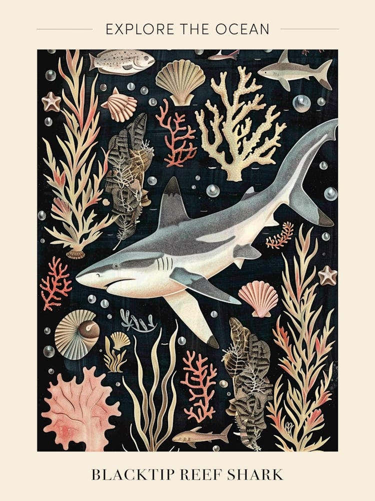 Blacktip Reef Shark Seascape Black Background Illustration 3 Poster