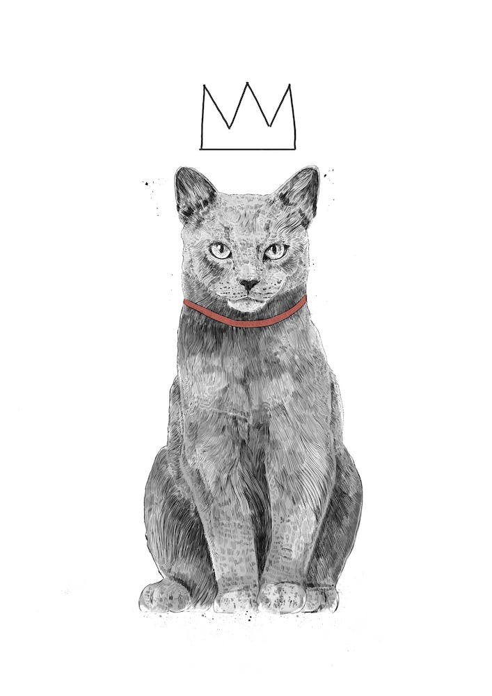 King Of Everything