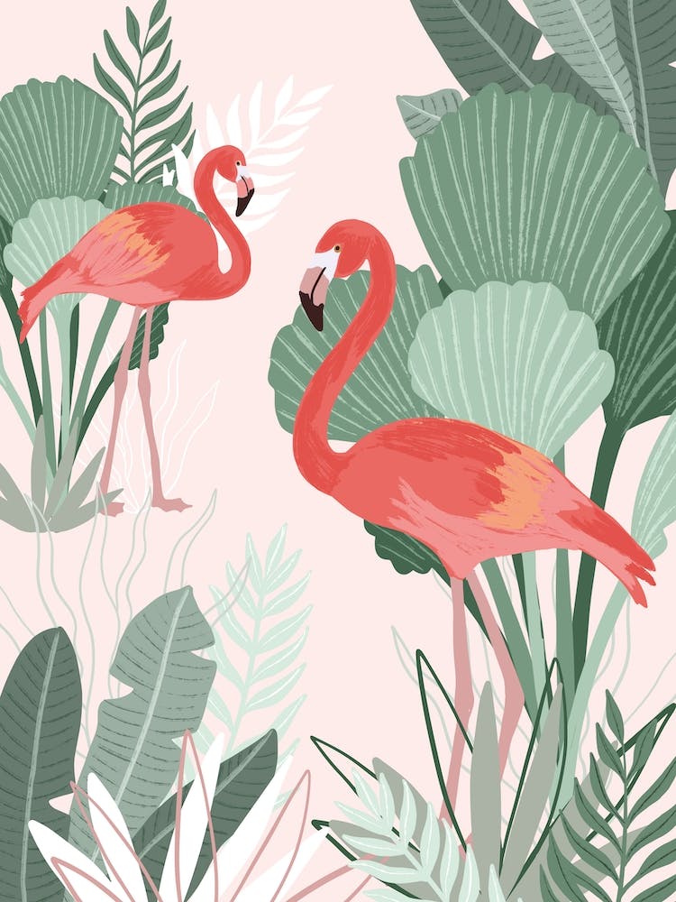 Flamingo Dreams