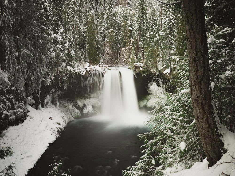 Waterfall In Winter