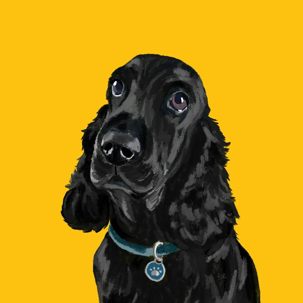 Black Cocker Spaniel Dog Sunshine Yellow