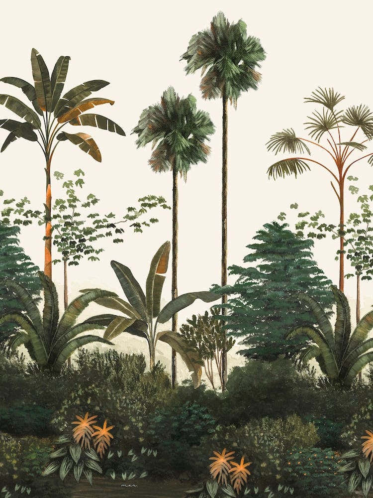 Tropical Particular Old White Jpg