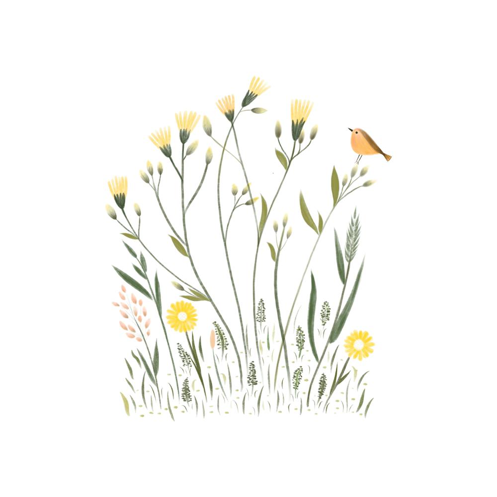 Bird In The Meadow