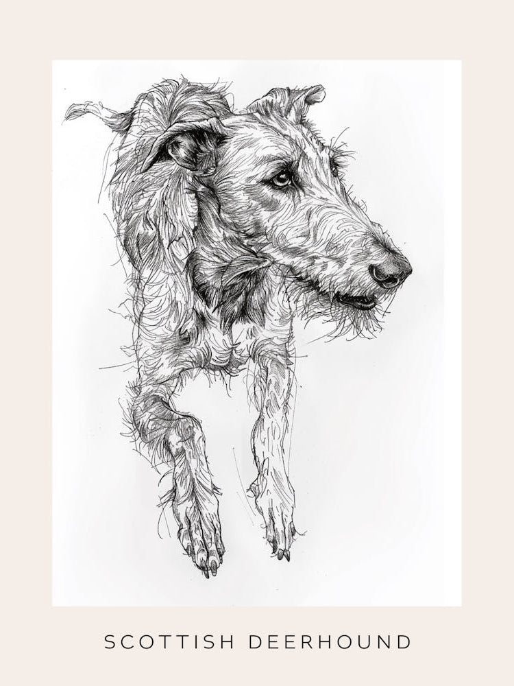 Scottish Deerhound Dog Line Sketch 1 Poster