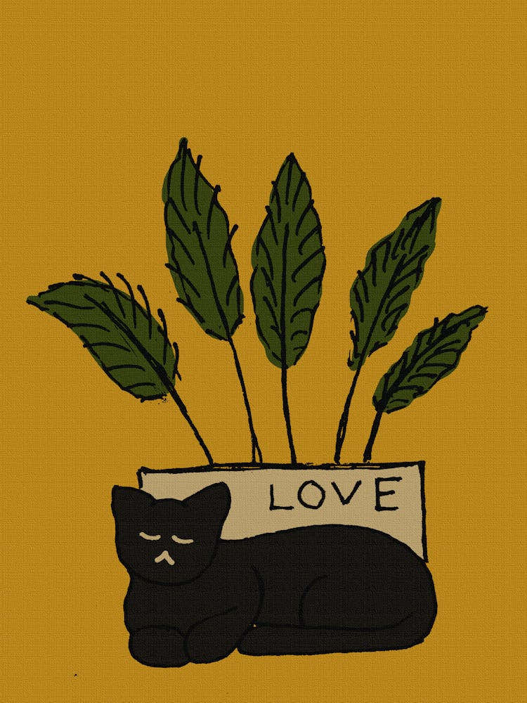 Love Cat