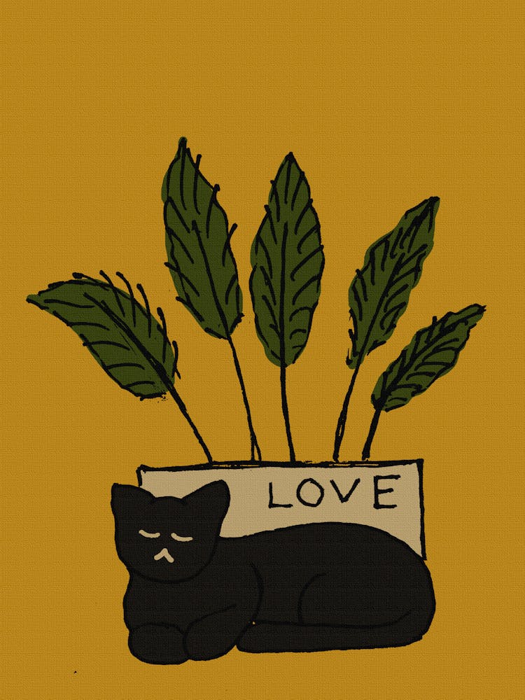 Love Cat