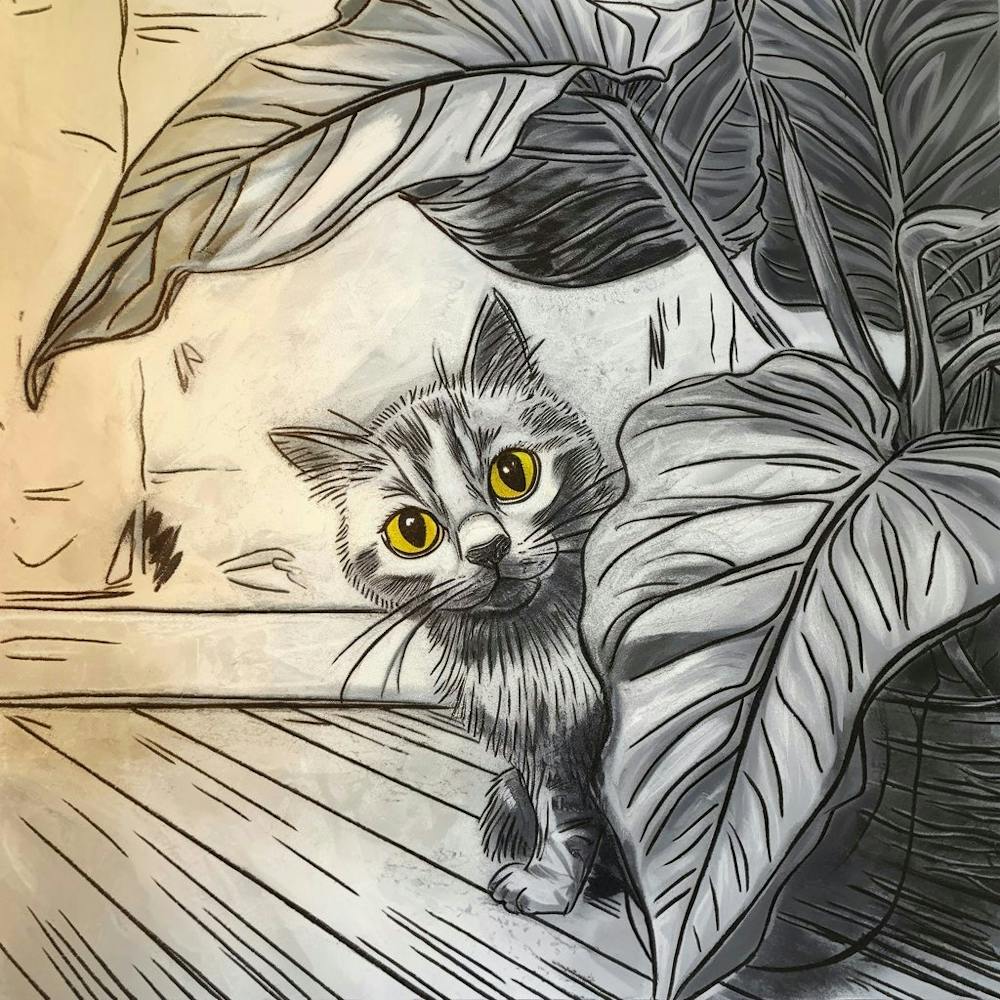 Pencil Drawing Of A Cat