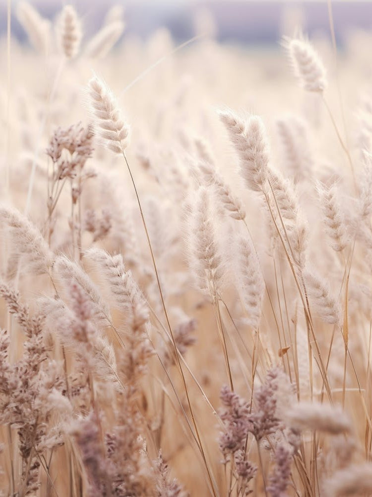 Boho Dried Flowers Lavender 2