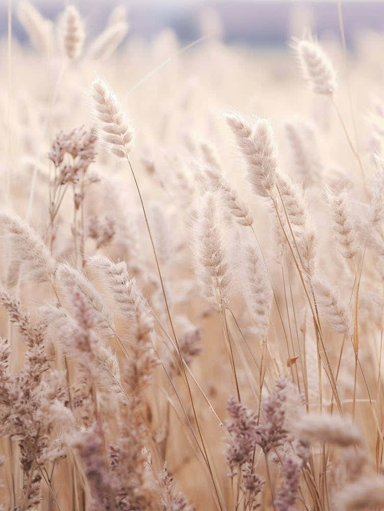 Boho Dried Flowers Lavender 2