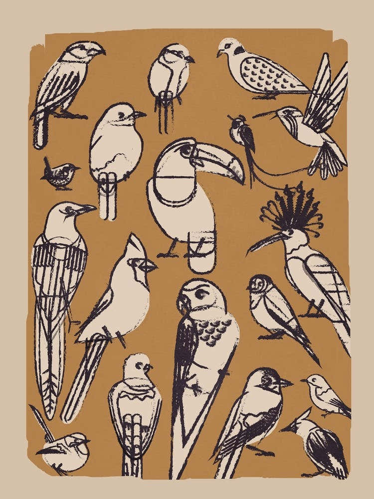 Minimalist Birds Line Art 1