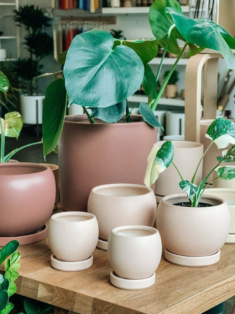 Pots On A Table