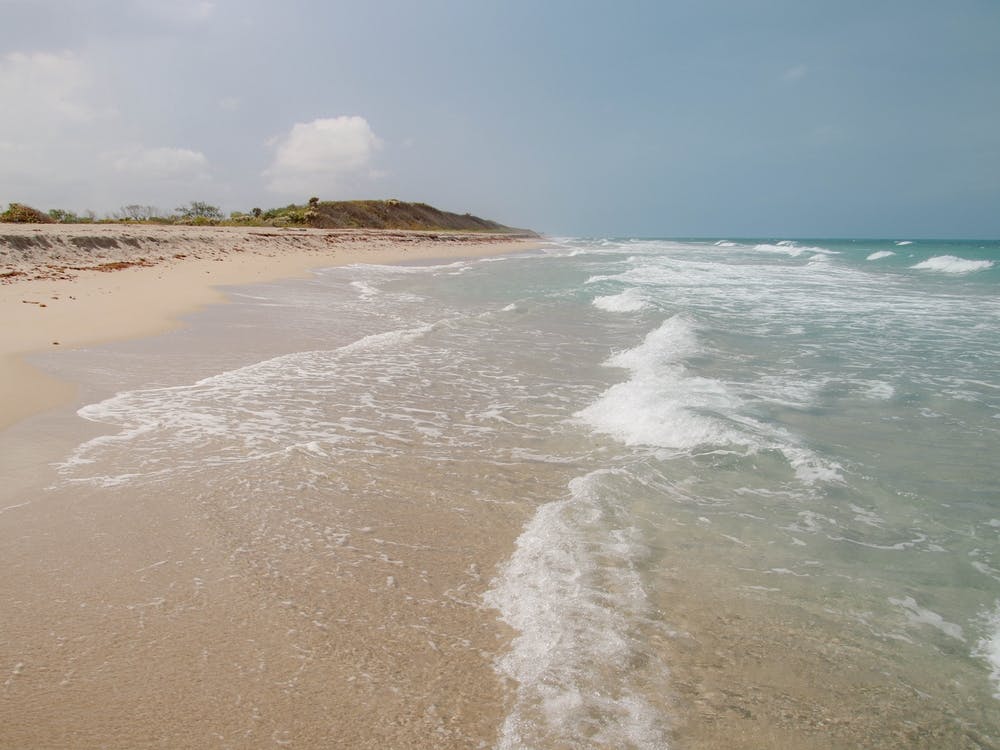 Ocean meets the beach Florida