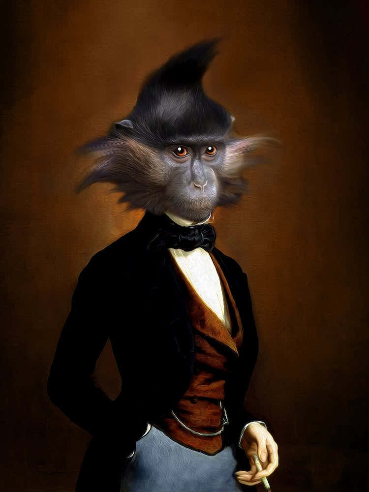 Mister Turin The Monkey Pet Portraits