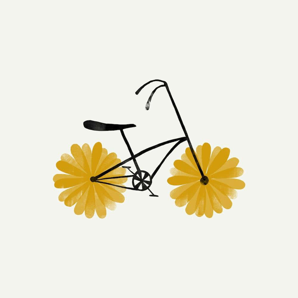 Daisy Bike Square