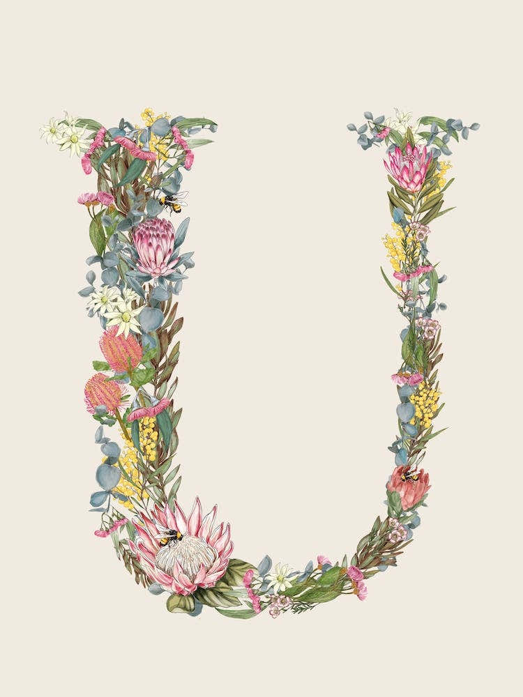 U Oat Alphabet Letter