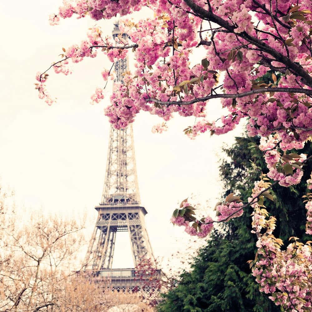 Paris In The Spring