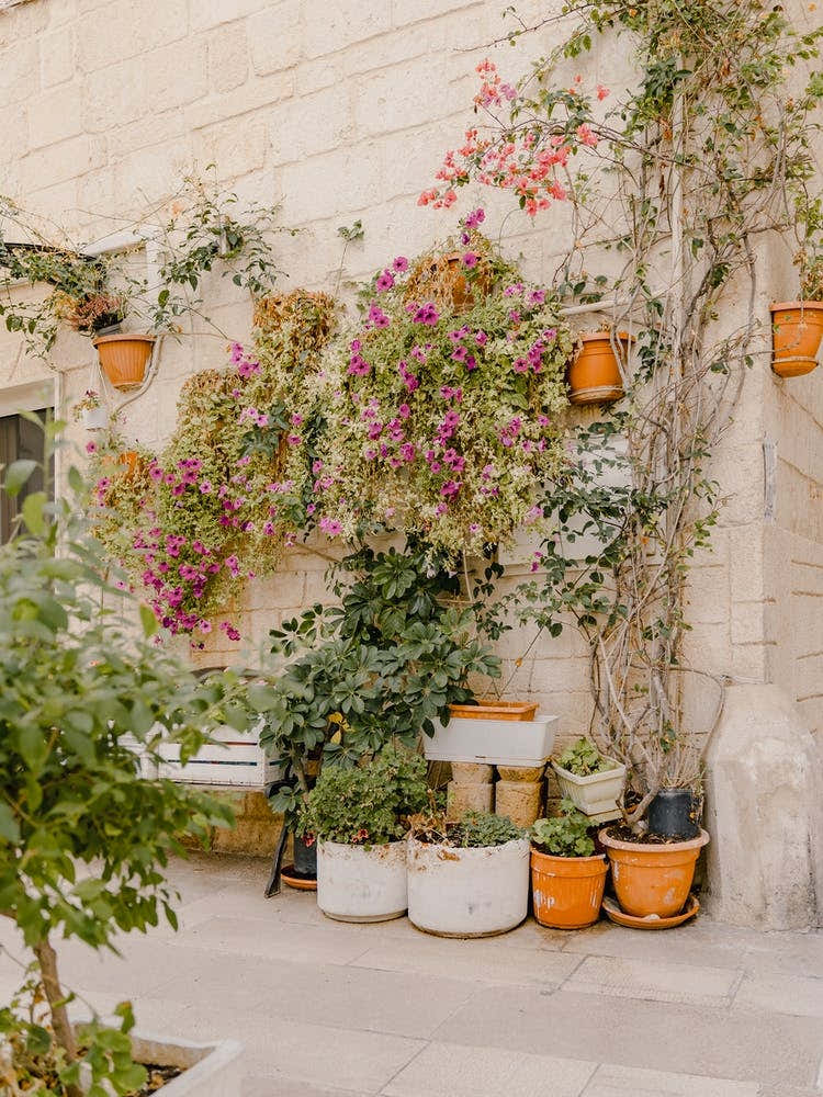 Potted Plants In A Courtyard, street in Puglia, Italy | travel photography