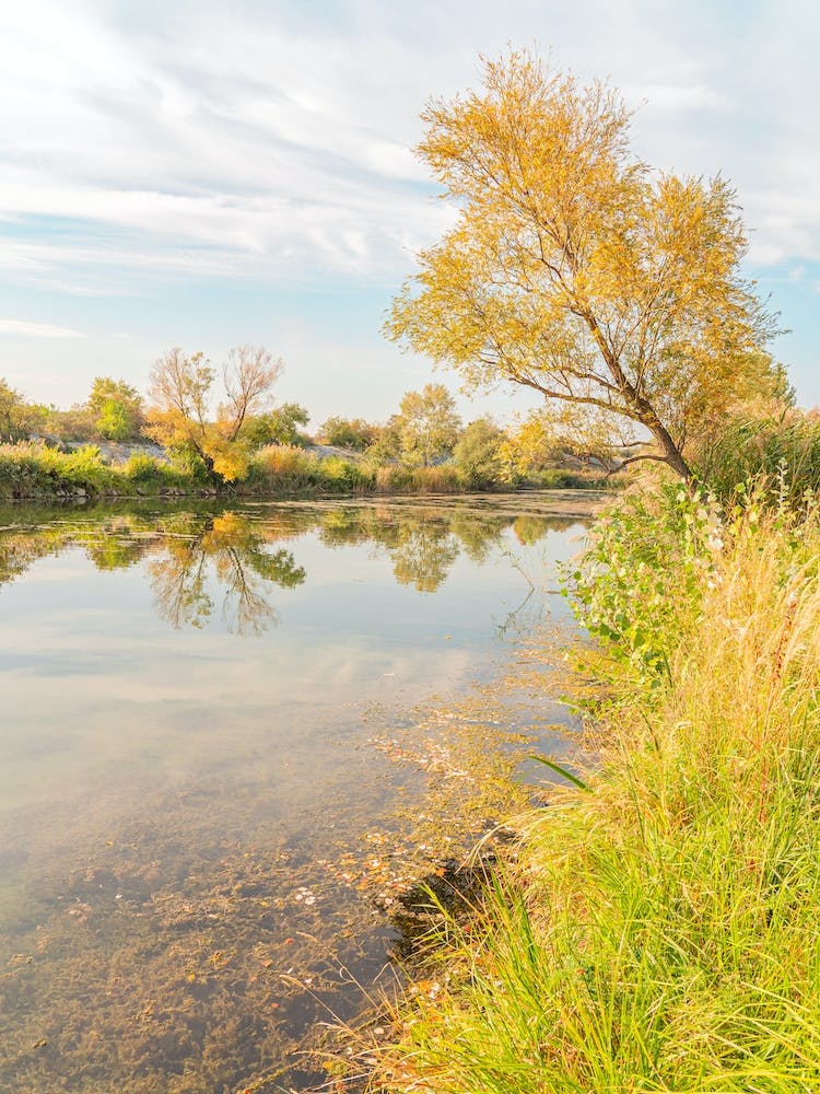 Autumn By The Lake