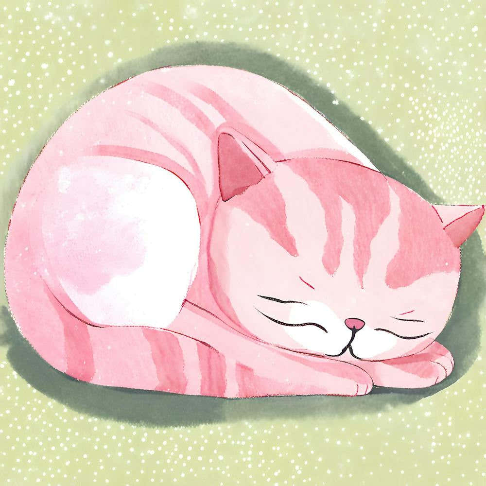 Pink Cat Sleeping