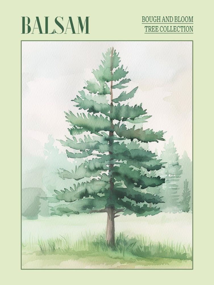 Balsam Tree Atmospheric Watercolour Painting 2 Poster