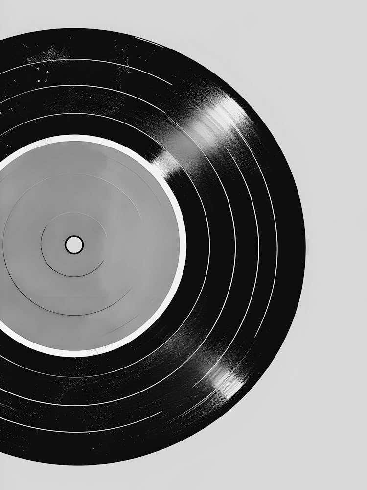 Vinyl Record 3