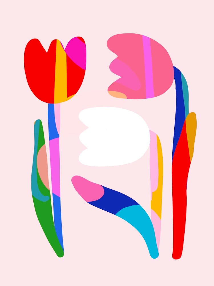 Minimal colourful Tulip trio pink floral