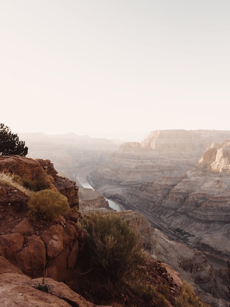 Colorado River Desert