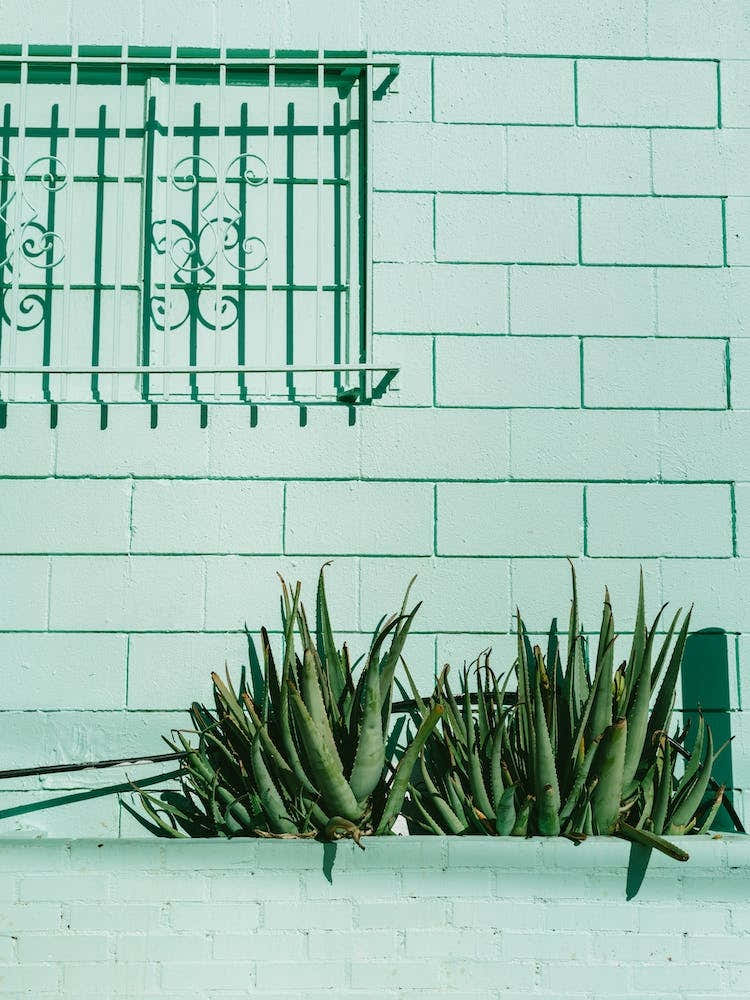 Silver Lake Los Angeles