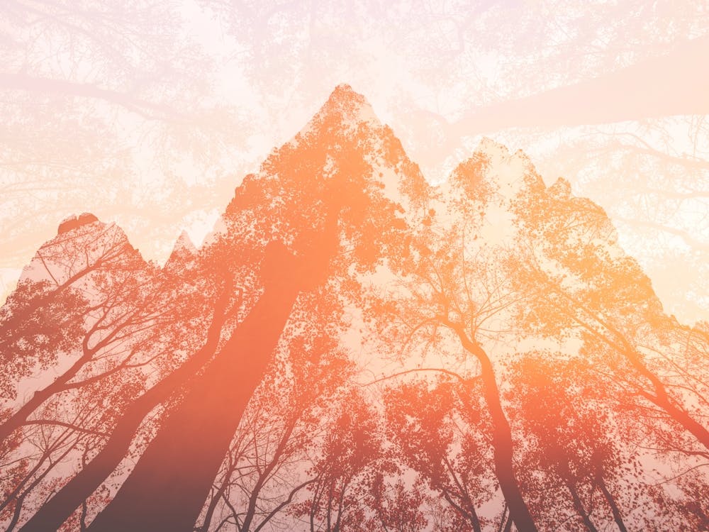 Sunrise In The Mountains - Teton Aspen Autumn Dreams