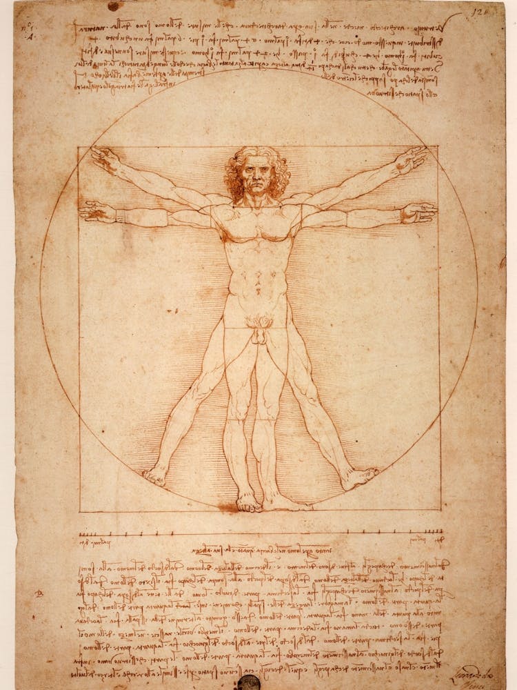 Leonardo Da Vinci
