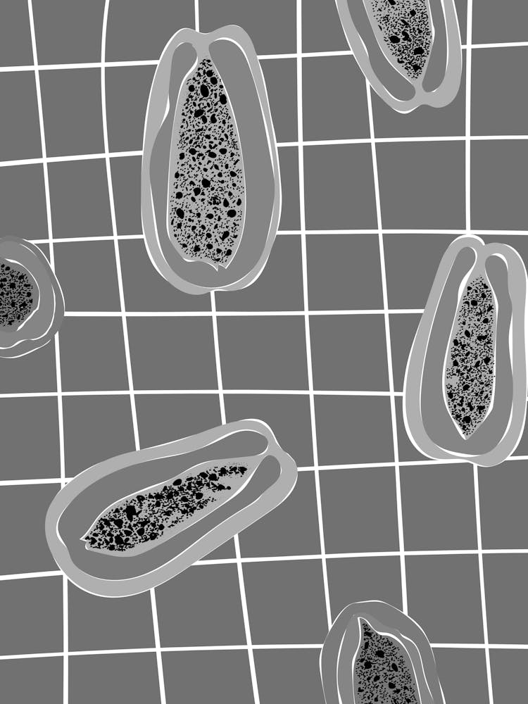 Black And White Bacterial Cells