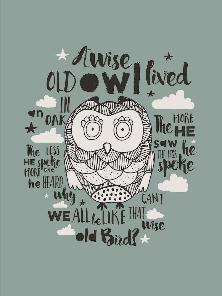 Wise Old Bird