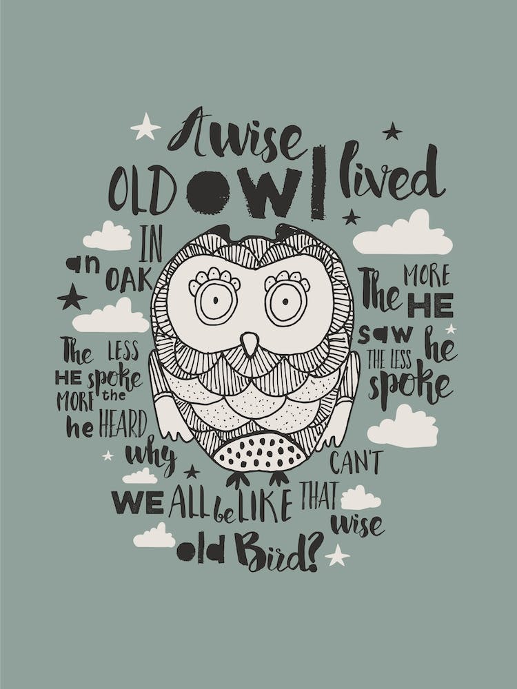 Wise Old Bird