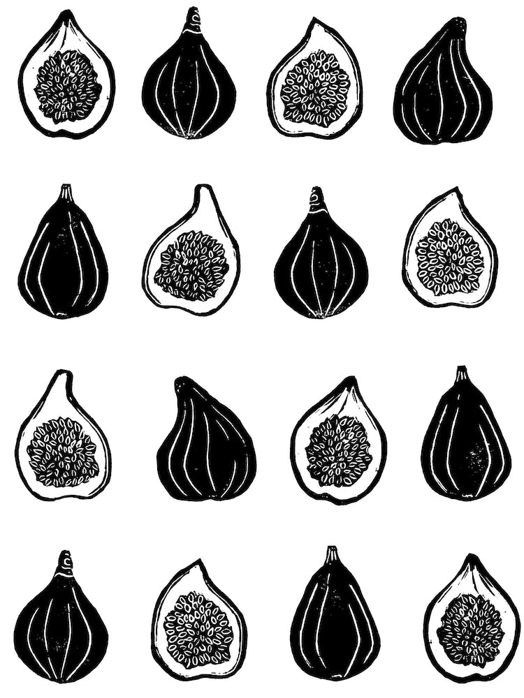 Monochrome Repeat Pattern Figs
