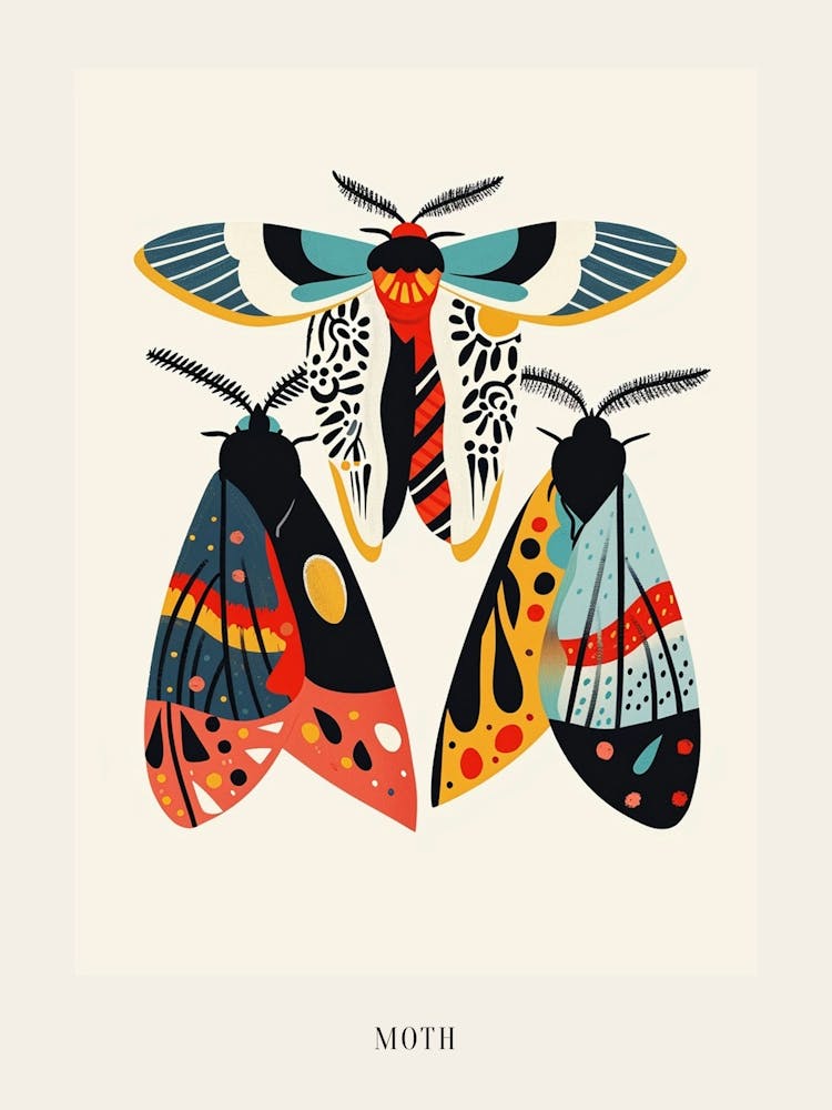 Colourful Insect Illustration Moth 55 Poster