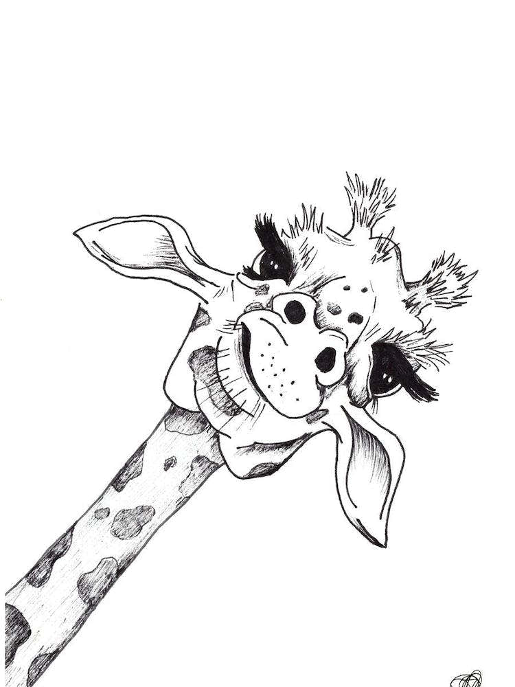 Black and White Giraffe Face