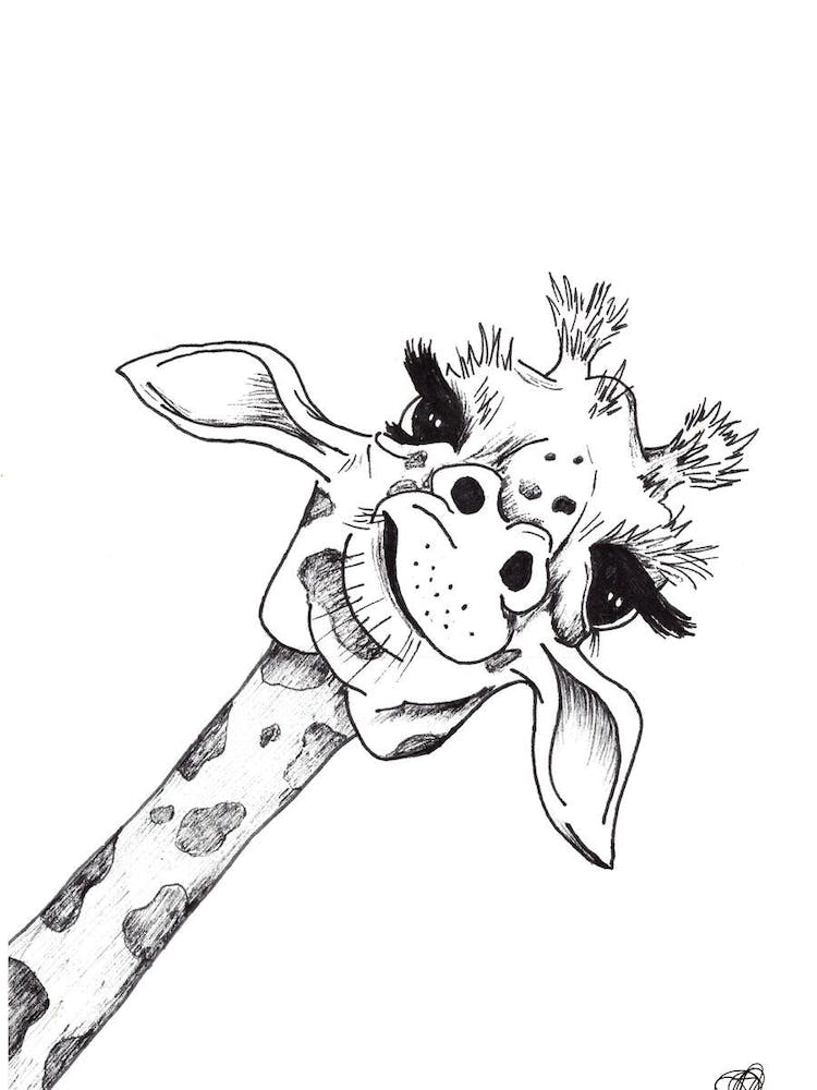 Black and White Giraffe Face