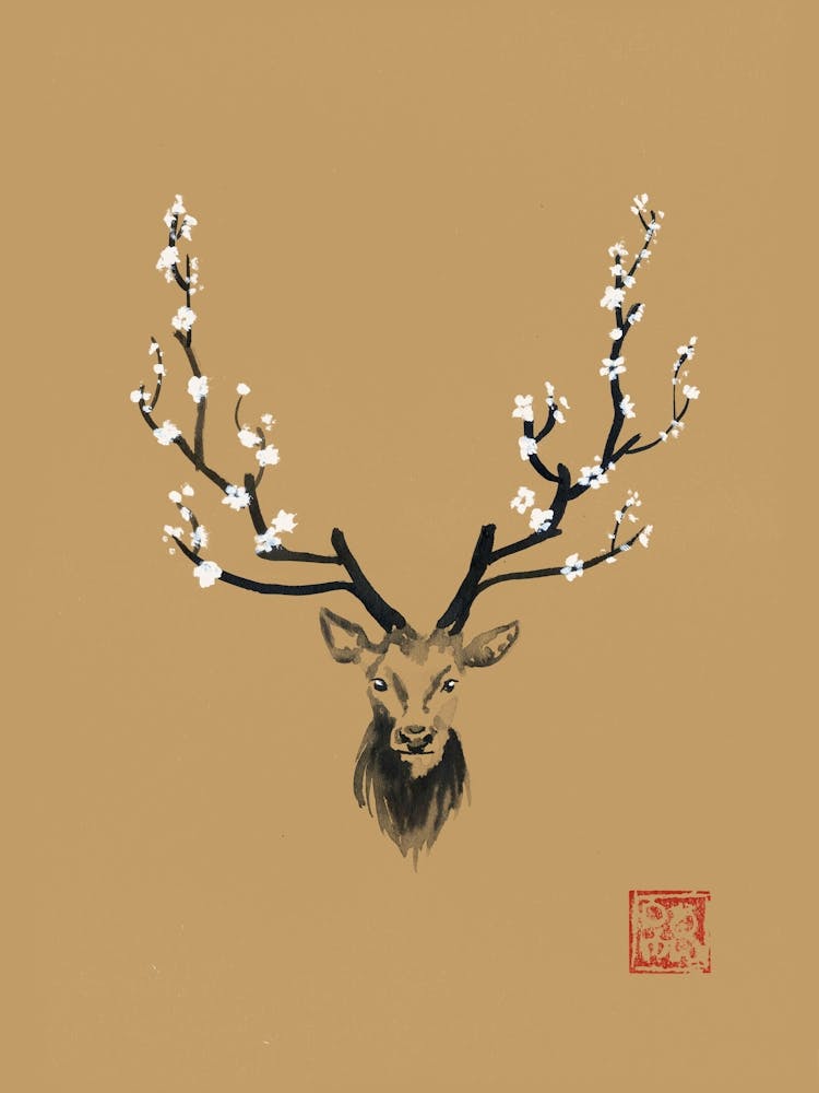 Deer Blossom
